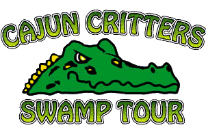 swamp tour
